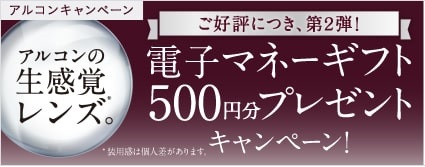 電子マネーギフト500円分プレゼントキャンペーン!